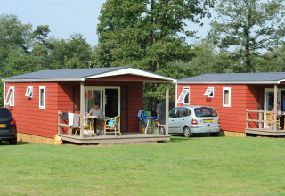 To røde hytter og biler ved Forest lodge på Veluwecamping De Pampel i Holland, omgivet af grøn natur.
