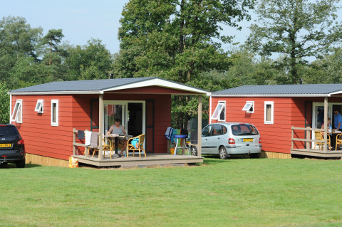 Rote Ferienhütten und parkende Autos am Forest Lodge bei Veluwecamping De Pampel in den Niederlanden.