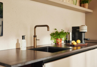 Cocina moderna de lodge con grifo dorado, cafetera, hierbas en maceta y limones sobre la encimera.