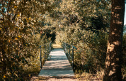 Small bridge surrounded by lush trees at Tiny House in Holiday Park Eigen Wijze, Netherlands, summer.