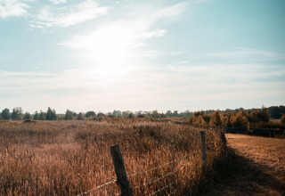 Champ ensoleillé et clôture près d'une tiny house au Holiday park Eigen Wijze, Pays-Bas, ciel bleu.