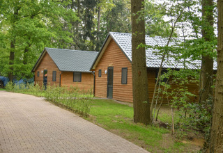 River Lodge en Camping de Koeksebelt, Países Bajos, con dos cabañas de madera entre árboles y vegetación.