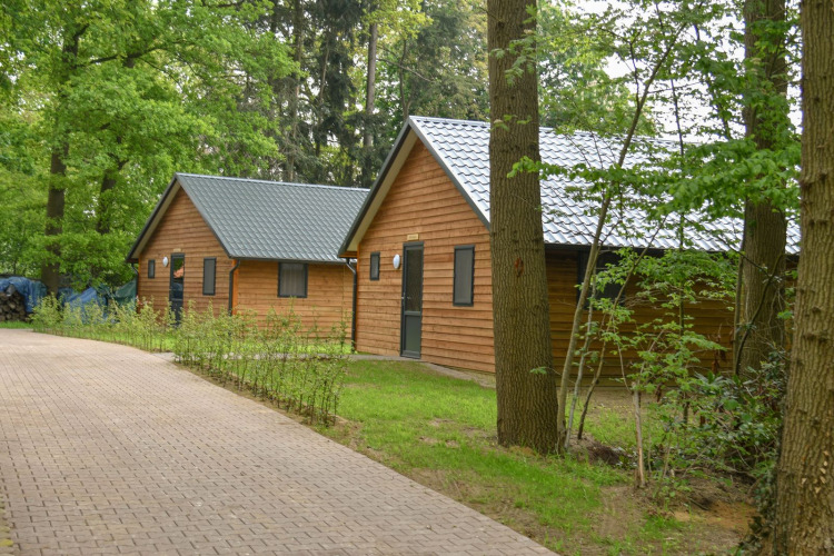 River Lodge im Camping de Koeksebelt, Niederlande, zwei Holzhütten im Grünen am Waldrand.