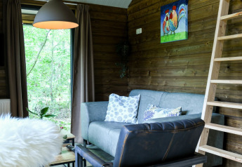 Salon confortable dans la River Lodge au Camping de Koeksebelt, avec canapé, échelle et vue sur la forêt.