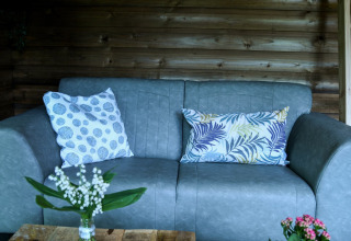 Grå sofa med to puder i River Lodge på Camping de Koeksebelt, Holland, med trævæg og blomster foran.