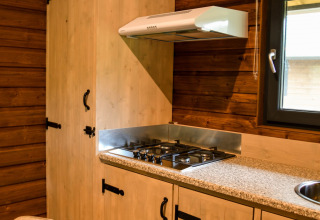 Cocina en River Lodge en Camping de Koeksebelt con estufa de gas, campana y paredes de madera.