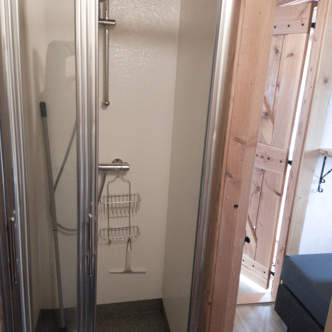 Douche compacte avec porte vitrée et entourage en bois, prise à River Cottage, Camping de Koeksebelt, Pays-Bas.