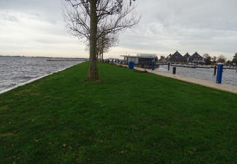 Césped verde junto al agua cerca del Houseboat 'Iere Fügel' en Friesland, Países Bajos, bajo cielo nublado.