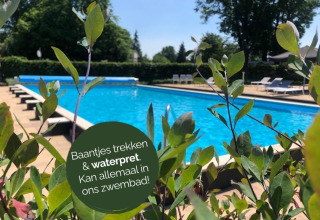 Buitenzwembad aan een glampingverblijf met ligzetels en groene planten op de voorgrond.