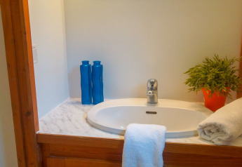 Baño en Chalet Borrèze en La Draille, Francia, con lavabo, espejo, toallas y una planta en maceta.