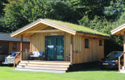 Pequeña casa de madera con techo verde llamada Cuckoo's Nest en Camping de Koeksebelt, Países Bajos, con coches.