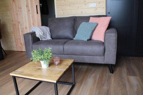 Salon confortable avec canapé gris, coussins colorés, plaid et table en bois avec plante et verre.
