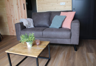 Sala de estar acogedora con sofá gris, cojines de colores, manta y mesa de madera con planta y vaso.