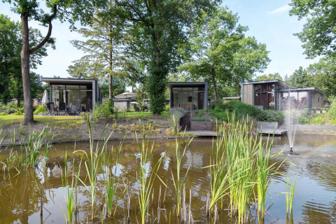 Moderne lodges aan een vijver met fontein en bomen bij Landgoed de Scheleberg in Nederland.