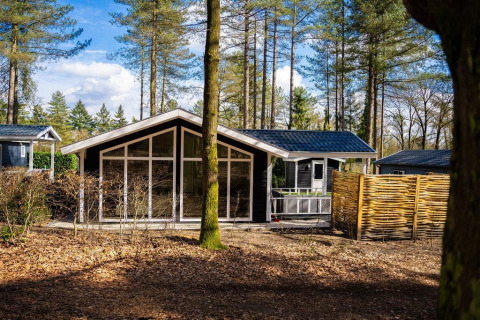 Moderna cabaña Heuvelrug con grandes ventanales y jacuzzi en De Thijmse Berg, rodeada de bosque en los Países Bajos.