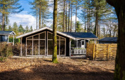 Moderne Heuvelrug Cottage med store vinduer og hot tub i De Thijmse Berg, omgivet af skov i Holland.