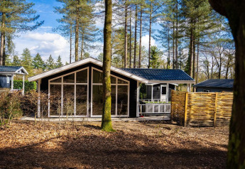 Moderne Heuvelrug Cottage med store vinduer og hot tub i De Thijmse Berg, omgivet af skov i Holland.