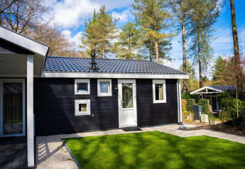 Sort Heuvelrug Cottage med hvide vinduer og dør, grøn have og fyrretræer, De Thijmse Berg, Holland.