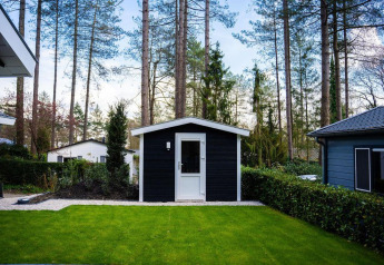 Green lawn and small black garden shed at a wooded lodge, Heuvelrug Cottage, De Thijmse Berg, Netherlands.