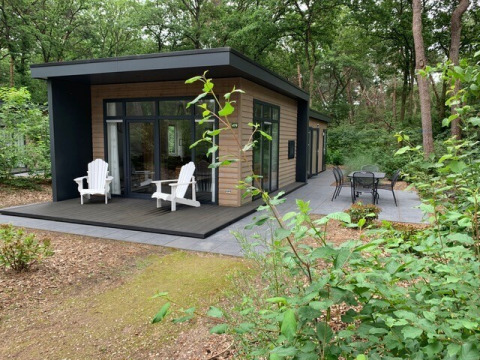 Moderne tiny house genaamd Forest park chalet in het bos van Holiday park De Kleine Belties, Nederland.