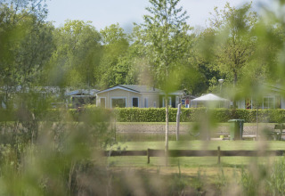 View through green foliage toward modern glamping cabins and a lawn area on a sunny spring day.