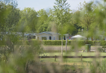 View through green foliage toward modern glamping cabins and a lawn area on a sunny spring day.