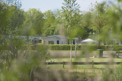 Vista attraverso il fogliame verde verso moderne cabine glamping e un prato in una giornata primaverile soleggiata.