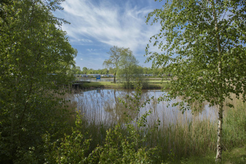 Scenic glamping site with tranquil pond, lush greenery, and cabins visible beyond the trees under blue sky.