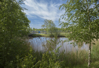 Scenic glamping site with tranquil pond, lush greenery, and cabins visible beyond the trees under blue sky.