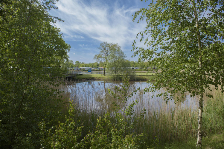 Estanque tranquilo rodeado de vegetación y árboles, con alojamientos glamping visibles al fondo bajo el cielo.