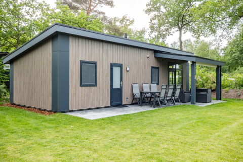 Forest Lodge DeLuxe ved Kampeerdorp de Zandstuve, moderne træhytte med terrasse i en grøn, skovklædt have.