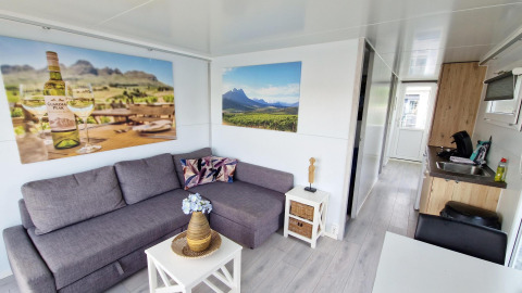 Sala de estar en una casa flotante en Havenlodge N de Marina Parcs Naarden, con sofá gris y arte mural.