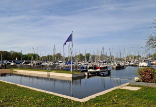 Luxuriöse Glamping-Unterkunft mit Pool und Blick auf einen Jachthafen voller Segelboote.