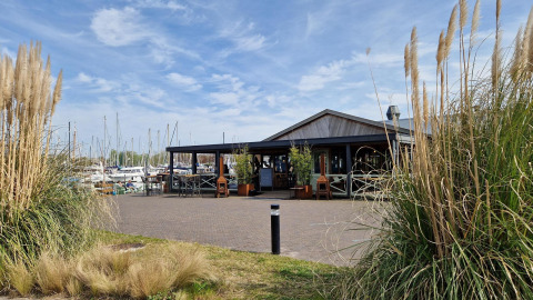 Acogedora cafetería en una casa flotante junto al puerto deportivo, botes al fondo y juncos altos delante.