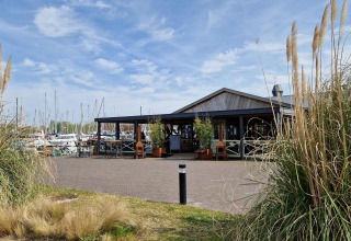 Acogedora cafetería en una casa flotante junto al puerto deportivo, botes al fondo y juncos altos delante.