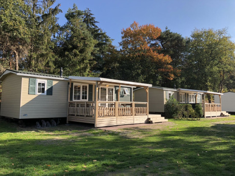 Chalets familiaux avec porches à Kampeerdorp de Zandstuve, Pays-Bas, entourés d’arbres ensoleillés.