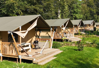 Row of safari tents with wooden decks on a grassy campsite, surrounded by trees and lush green nature.