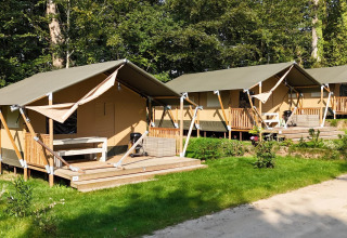 Tende safari moderne allineate su un campeggio erboso circondato da alberi e ambiente naturale.
