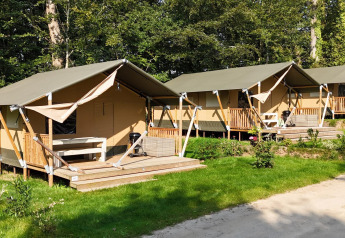 Modern safari tents arranged in a row on a grassy campsite surrounded by lush trees and natural scenery.