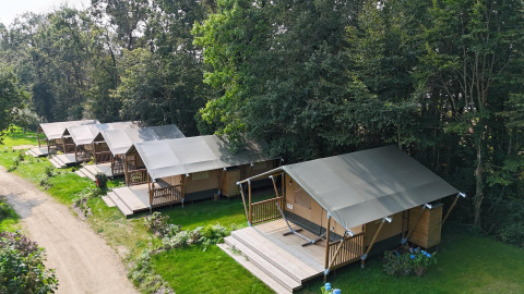 Row of safari tents on wooden platforms by a forest edge, viewed from above during the daytime.
