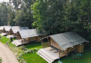 Række af safaritelt bygget på træterrasser ved siden af en skov, set fra oven i dagslys.