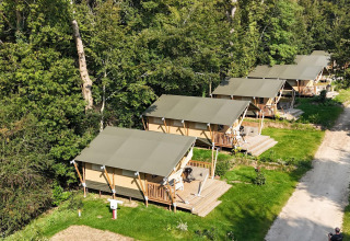 Vista aerea di tende safari glamping allineate accanto a un bosco, lungo un sentiero per camping naturale.