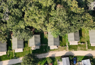 Luftaufnahme von sechs Safarizelten am Waldrand auf einem grünen Campingplatz mit Weg davor.