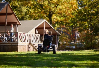 Zwei Kinder fahren mit einem Gokart vor gemütlichen Lodges auf einer grünen Wiese im Wald.