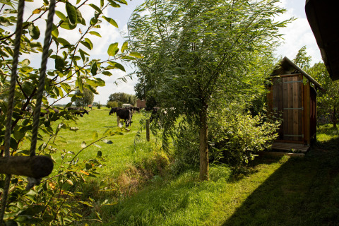 Campo verde con vacas y árboles en Feather Down Hoeve de Betuwe, un parque vacacional en Gelderland, Holanda.