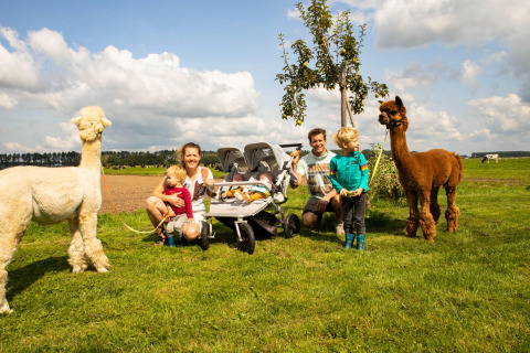 Familie mit kleinen Kindern und Kinderwagen posiert mit zwei Alpakas auf dem Gras bei Feather Down Hoeve de Betuwe.