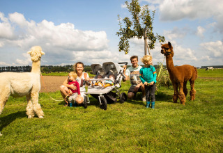 Famille avec de jeunes enfants et une poussette posant avec deux alpagas sur l’herbe à Feather Down Hoeve de Betuwe.