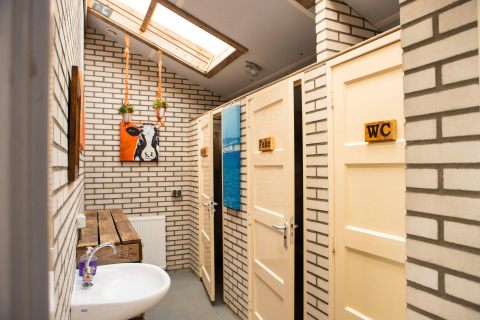 Baño luminoso con paredes de ladrillo, tragaluz, plantas colgantes y puertas señalizadas en Hoeve de Betuwe.