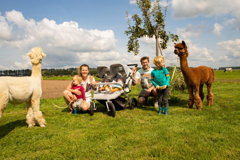 Een familie met jonge kinderen en alpaca's geniet van een zonnige dag bij Feather Down Hoeve de Betuwe, Gelderland.