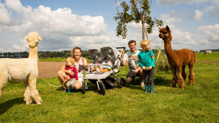 Eine Familie mit kleinen Kindern und Alpakas genießt einen sonnigen Tag im Feather Down Hoeve de Betuwe, Gelderland.